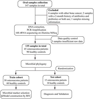 Oral microbiota distinguishes patients with osteosarcoma from healthy controls